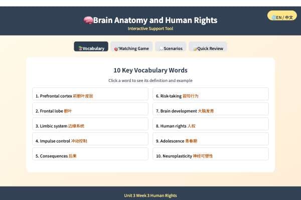 Brain Anatomy and Human Rights | 大脑结构与人权