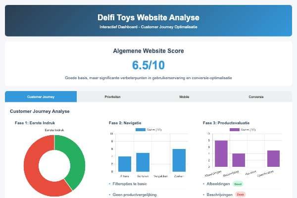 Delfi Toys - Website Analyse Dashboard