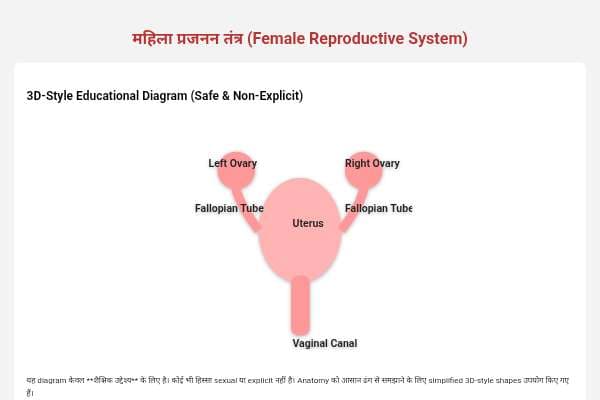 महिला प्रजनन तंत्र - Educational Diagram